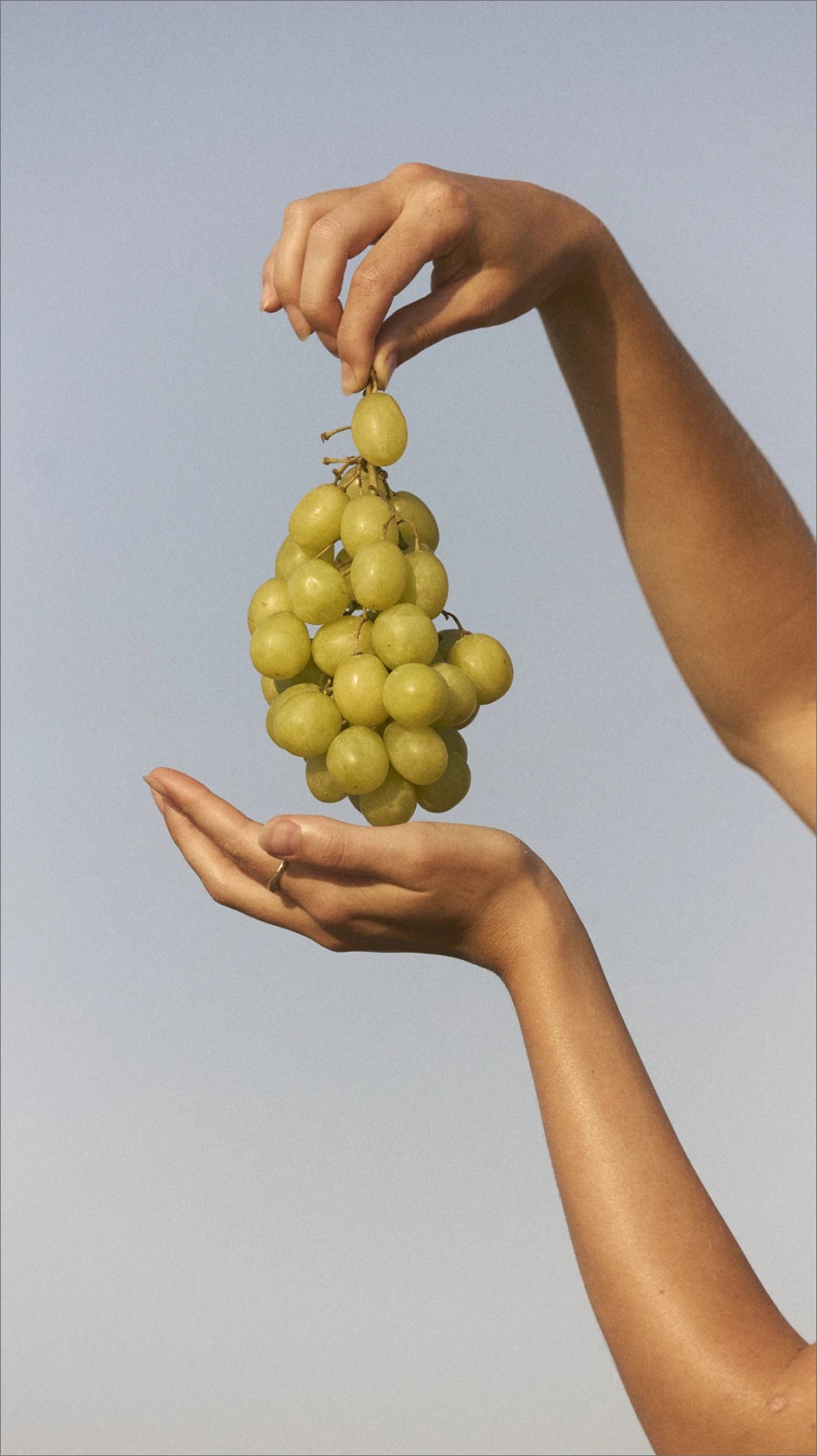Gesunde Ernährung für ein aktives  Lymphsystem | 2026 Guide